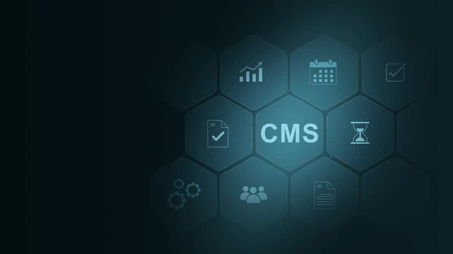 Content & Website Management — portfolio preview